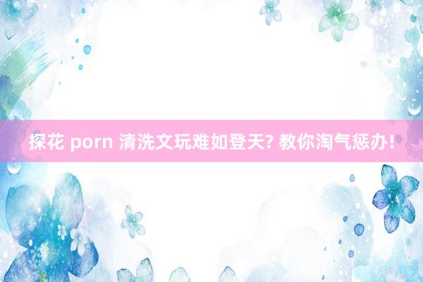 探花 porn 清洗文玩难如登天? 教你淘气惩办!