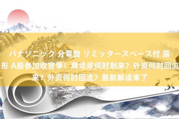 パナソニック 分電盤 リミッタースペース付 露出・半埋込両用形 A股参加收官季！商场底何时到来？外资何时回流？最新解读来了