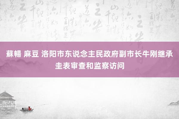 蘇暢 麻豆 洛阳市东说念主民政府副市长牛刚继承圭表审查和监察访问