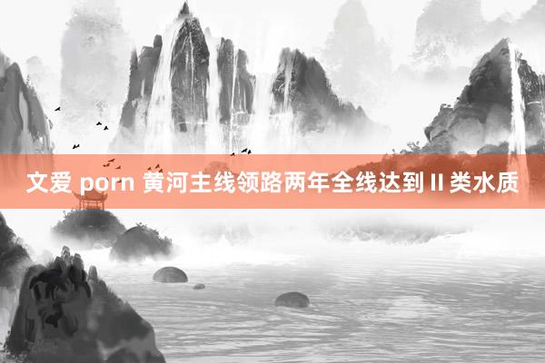 文爱 porn 黄河主线领路两年全线达到Ⅱ类水质