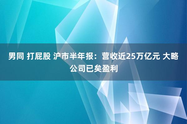 男同 打屁股 沪市半年报：营收近25万亿元 大略公司已矣盈利