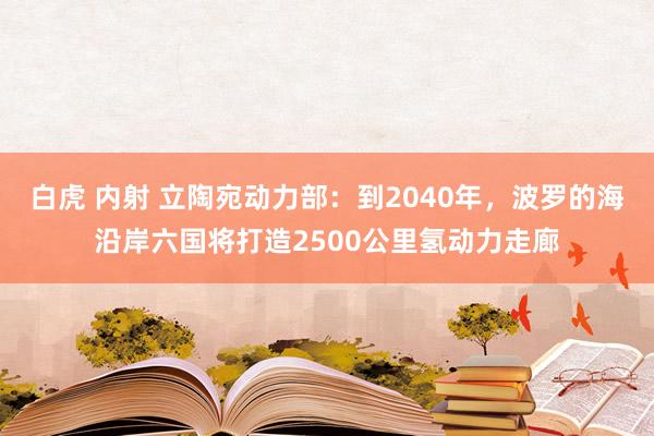 白虎 内射 立陶宛动力部：到2040年，波罗的海沿岸六国将打造2500公里氢动力走廊