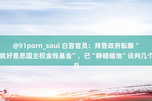 @91porn_soul 白宫官员：拜登政府酝酿“成就好意思国主权金钱基金”，已“静暗暗地”谈判几个月