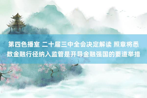 第四色播室 二十届三中全会决定解读 照章将悉数金融行径纳入监管是开导金融强国的要道举措