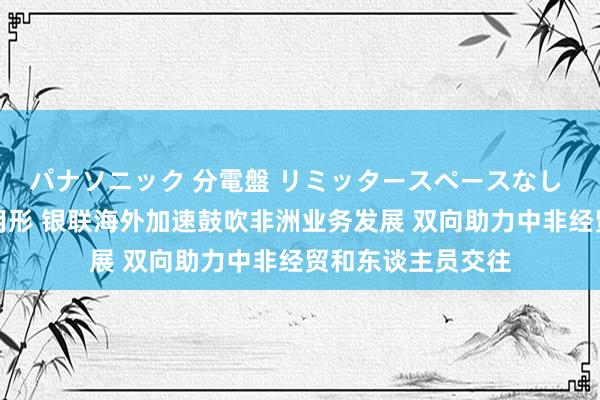 パナソニック 分電盤 リミッタースペースなし 露出・半埋込両用形 银联海外加速鼓吹非洲业务发展 双向助力中非经贸和东谈主员交往