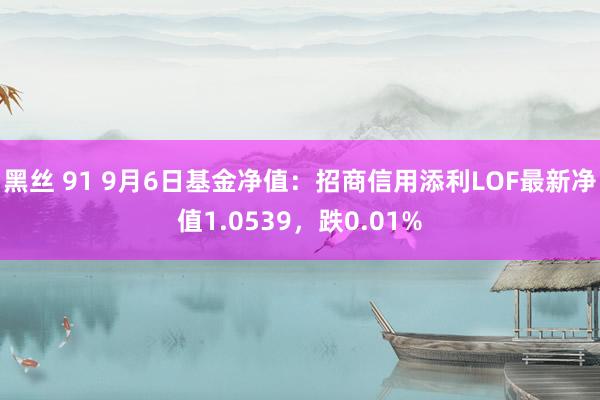 黑丝 91 9月6日基金净值：招商信用添利LOF最新净值1.0539，跌0.01%