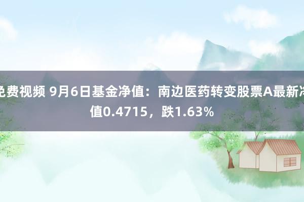 免费视频 9月6日基金净值：南边医药转变股票A最新净值0.4715，跌1.63%