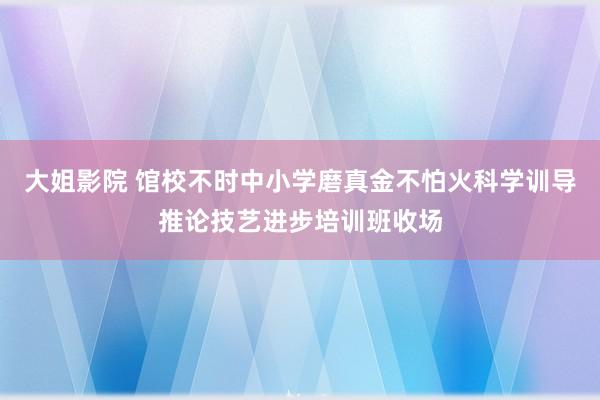 大姐影院 馆校不时中小学磨真金不怕火科学训导推论技艺进步培训班收场