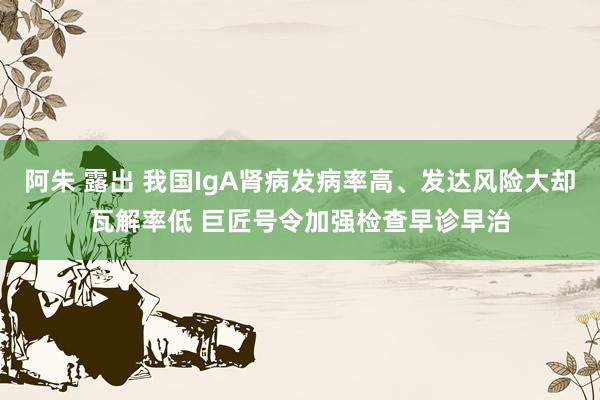 阿朱 露出 我国IgA肾病发病率高、发达风险大却瓦解率低 巨匠号令加强检查早诊早治