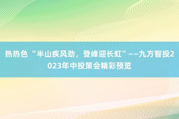 热热色 “半山疾风劲，登峰迎长虹”——九方智投2023年中投策会精彩预览