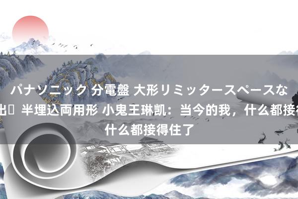 パナソニック 分電盤 大形リミッタースペースなし 露出・半埋込両用形 小鬼王琳凯：当今的我，什么都接得住了