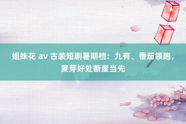 姐妹花 av 古装短剧暑期档：九有、番茄领跑，麦芽好处断崖当先