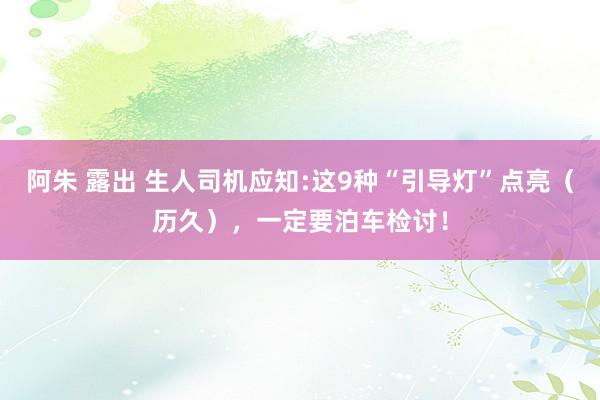 阿朱 露出 生人司机应知:这9种“引导灯”点亮（历久），一定要泊车检讨！