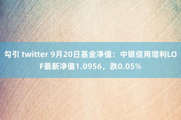 勾引 twitter 9月20日基金净值：中银信用增利LOF最新净值1.0956，跌0.05%