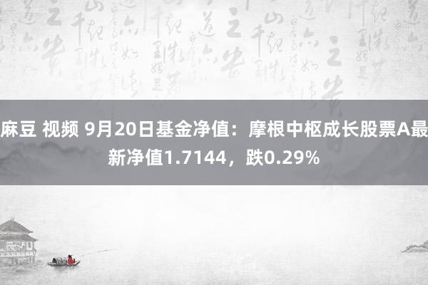 麻豆 视频 9月20日基金净值：摩根中枢成长股票A最新净值1.7144，跌0.29%