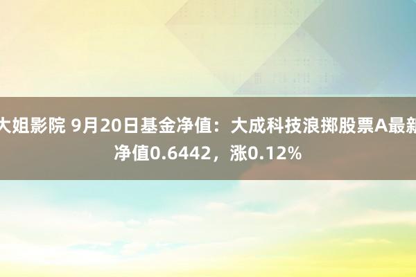 大姐影院 9月20日基金净值：大成科技浪掷股票A最新净值0.6442，涨0.12%