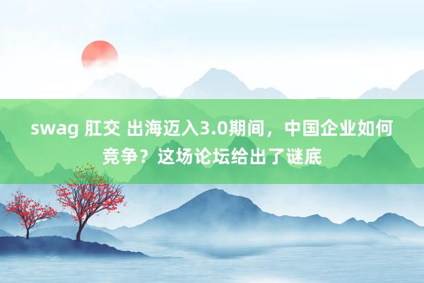 swag 肛交 出海迈入3.0期间，中国企业如何竞争？这场论坛给出了谜底