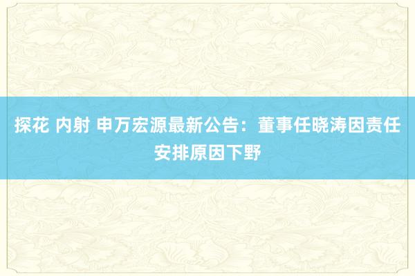 探花 内射 申万宏源最新公告：董事任晓涛因责任安排原因下野