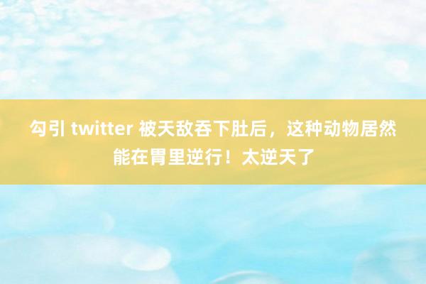 勾引 twitter 被天敌吞下肚后，这种动物居然能在胃里逆行！太逆天了