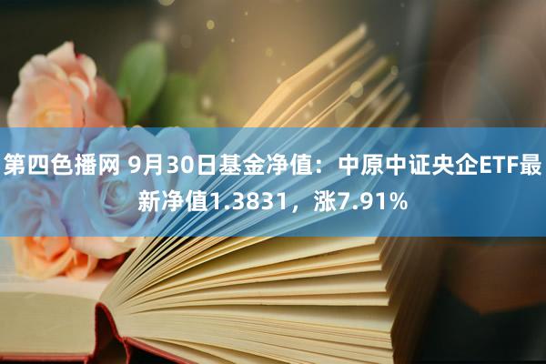 第四色播网 9月30日基金净值：中原中证央企ETF最新净值1.3831，涨7.91%