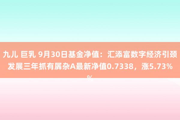 九儿 巨乳 9月30日基金净值：汇添富数字经济引颈发展三年抓有羼杂A最新净值0.7338，涨5.73%