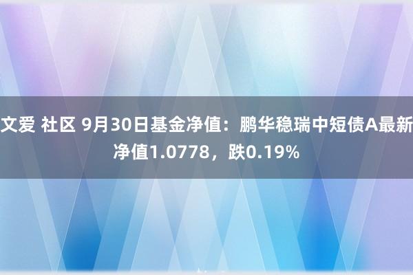 文爱 社区 9月30日基金净值：鹏华稳瑞中短债A最新净值1.0778，跌0.19%