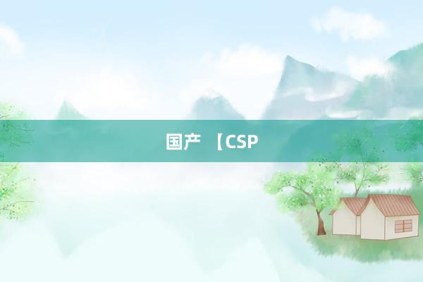 国产 【CSP