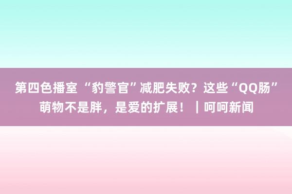 第四色播室 “豹警官”减肥失败？这些“QQ肠”萌物不是胖，是爱的扩展！｜呵呵新闻