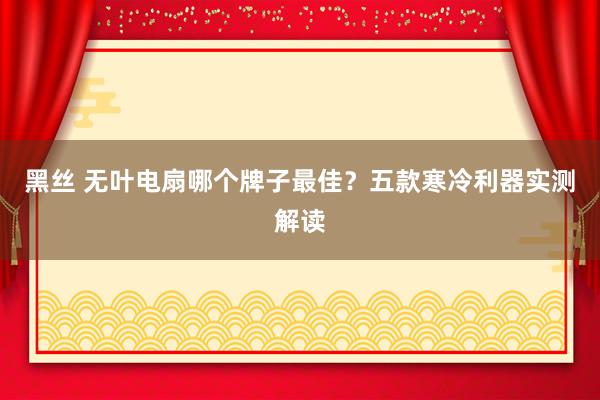 黑丝 无叶电扇哪个牌子最佳？五款寒冷利器实测解读