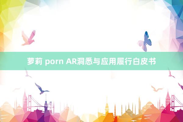 萝莉 porn AR洞悉与应用履行白皮书