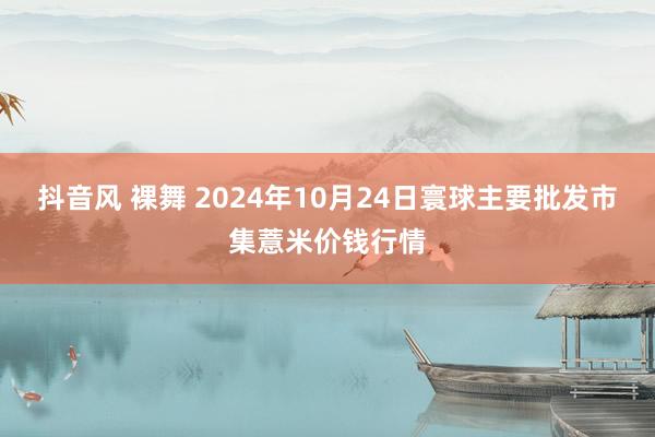 抖音风 裸舞 2024年10月24日寰球主要批发市集薏米价钱行情