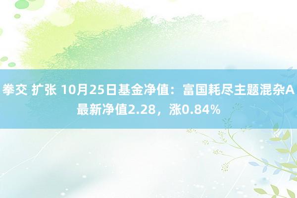 拳交 扩张 10月25日基金净值：富国耗尽主题混杂A最新净值2.28，涨0.84%