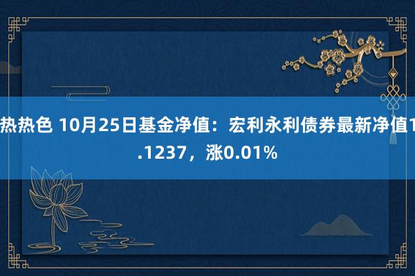 热热色 10月25日基金净值：宏利永利债券最新净值1.1237，涨0.01%