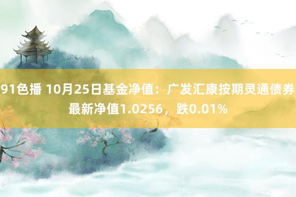 91色播 10月25日基金净值：广发汇康按期灵通债券最新净值1.0256，跌0.01%