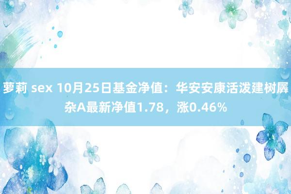 萝莉 sex 10月25日基金净值：华安安康活泼建树羼杂A最新净值1.78，涨0.46%