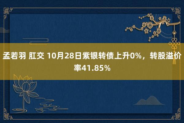 孟若羽 肛交 10月28日紫银转债上升0%，转股溢价率41.85%