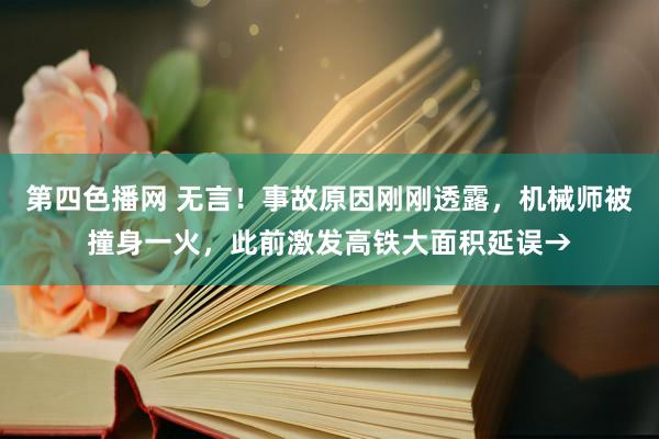 第四色播网 无言！事故原因刚刚透露，机械师被撞身一火，此前激发高铁大面积延误→