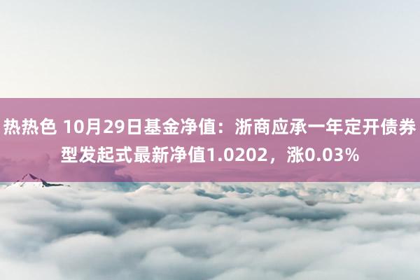 热热色 10月29日基金净值：浙商应承一年定开债券型发起式最新净值1.0202，涨0.03%