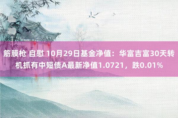 筋膜枪 自慰 10月29日基金净值：华富吉富30天转机抓有中短债A最新净值1.0721，跌0.01%