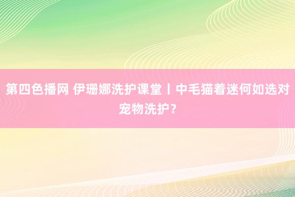 第四色播网 伊珊娜洗护课堂丨中毛猫着迷何如选对宠物洗护？