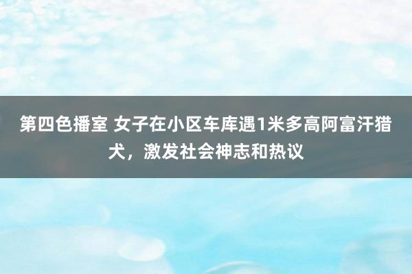 第四色播室 女子在小区车库遇1米多高阿富汗猎犬，激发社会神志和热议