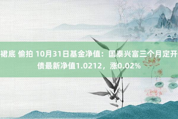 裙底 偷拍 10月31日基金净值：国泰兴富三个月定开债最新净值1.0212，涨0.02%