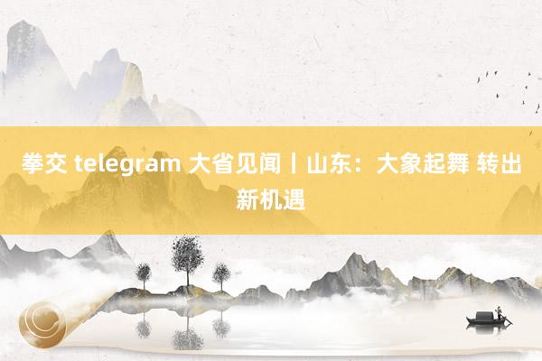 拳交 telegram 大省见闻丨山东：大象起舞 转出新机遇