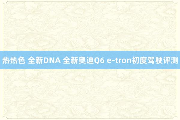 热热色 全新DNA 全新奥迪Q6 e-tron初度驾驶评测