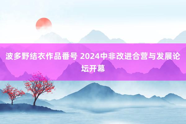 波多野结衣作品番号 2024中非改进合营与发展论坛开幕