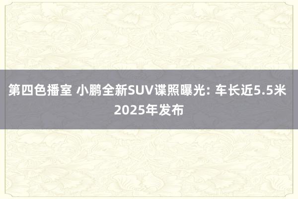 第四色播室 小鹏全新SUV谍照曝光: 车长近5.5米 2025年发布