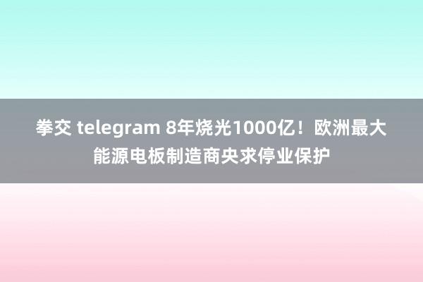 拳交 telegram 8年烧光1000亿！欧洲最大能源电板制造商央求停业保护