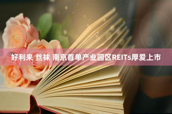 好利来 丝袜 南京首单产业园区REITs厚爱上市