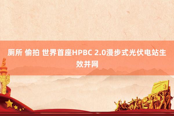 厕所 偷拍 世界首座HPBC 2.0漫步式光伏电站生效并网