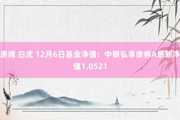 唐嫣 白虎 12月6日基金净值：中银弘享债券A最新净值1.0521